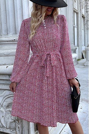 Long sleeved dress with pleate ...