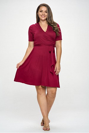 Short Sleeve Knit Solid Dress